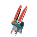 Big Eared Rabbit - Oaxacan Alebrije Wood Carving - CEMCUI