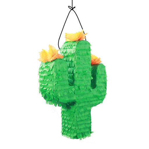 Cactus Pinata - CEMCUI