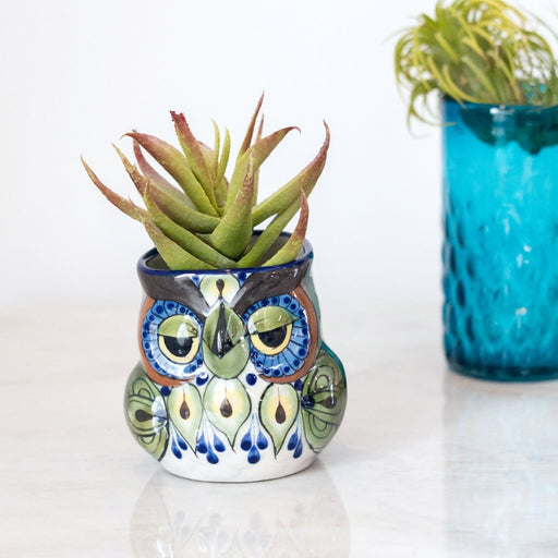 Ceramic Owl Planter - CEMCUI