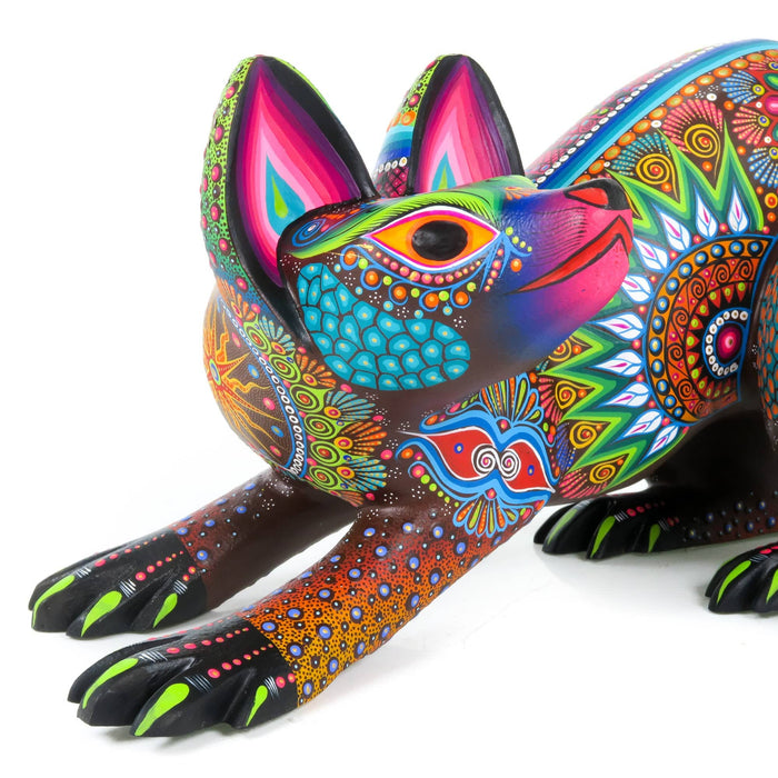 Fine Raccoon - Oaxacan Alebrije Wood Carving - CEMCUI